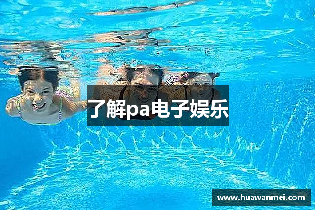 了解pa电子娱乐